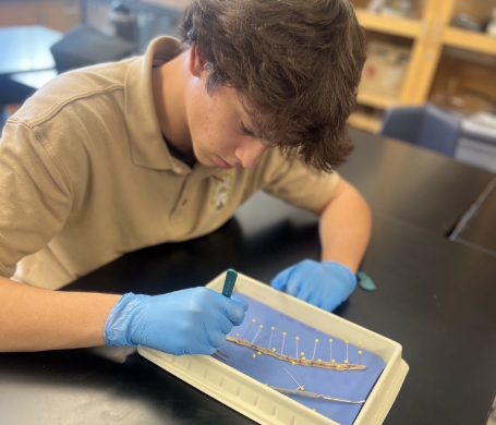 student working on science project